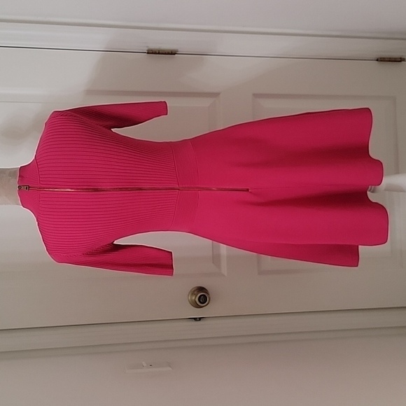Ted Baker, Size 3 (US 8-10) Viviiyy Engineered Skater Dress,  Hot Pink,  EUC - Picture 4 of 16